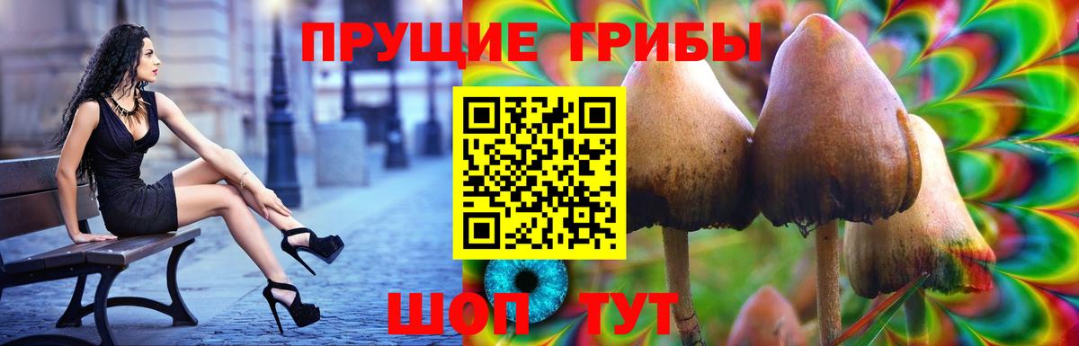 Галлюциногенные грибы GOLDEN TEACHER Асбест