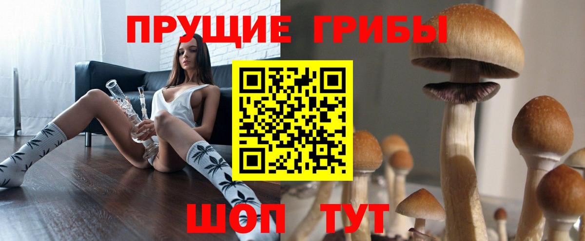 Псилоцибиновые грибы мицелий  Вход с VPN  Псилоцибиновые грибы Psilocybe  Асбест 